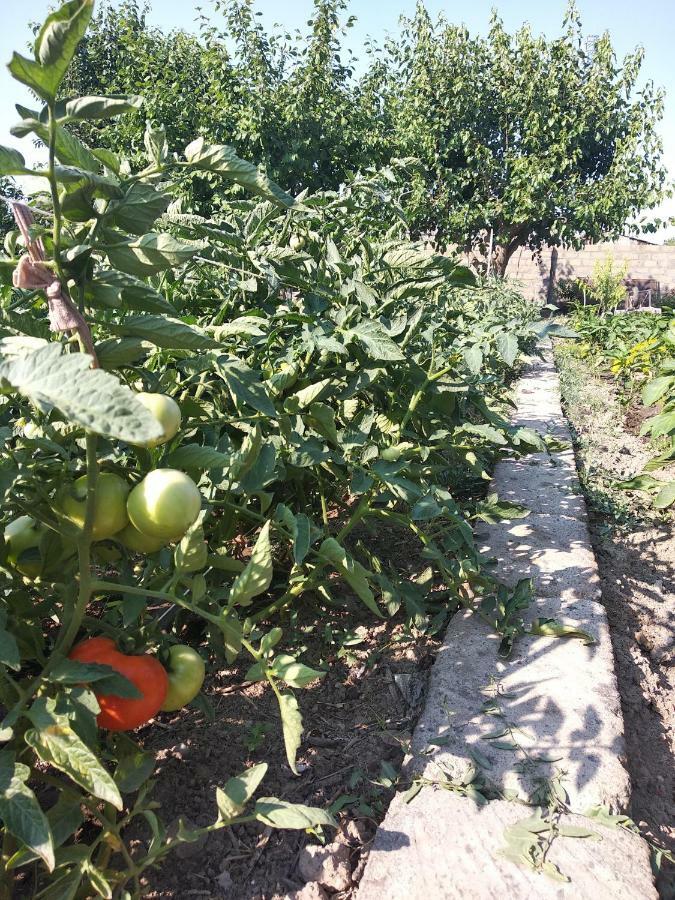 Artson B&B Vagharshapat Εξωτερικό φωτογραφία